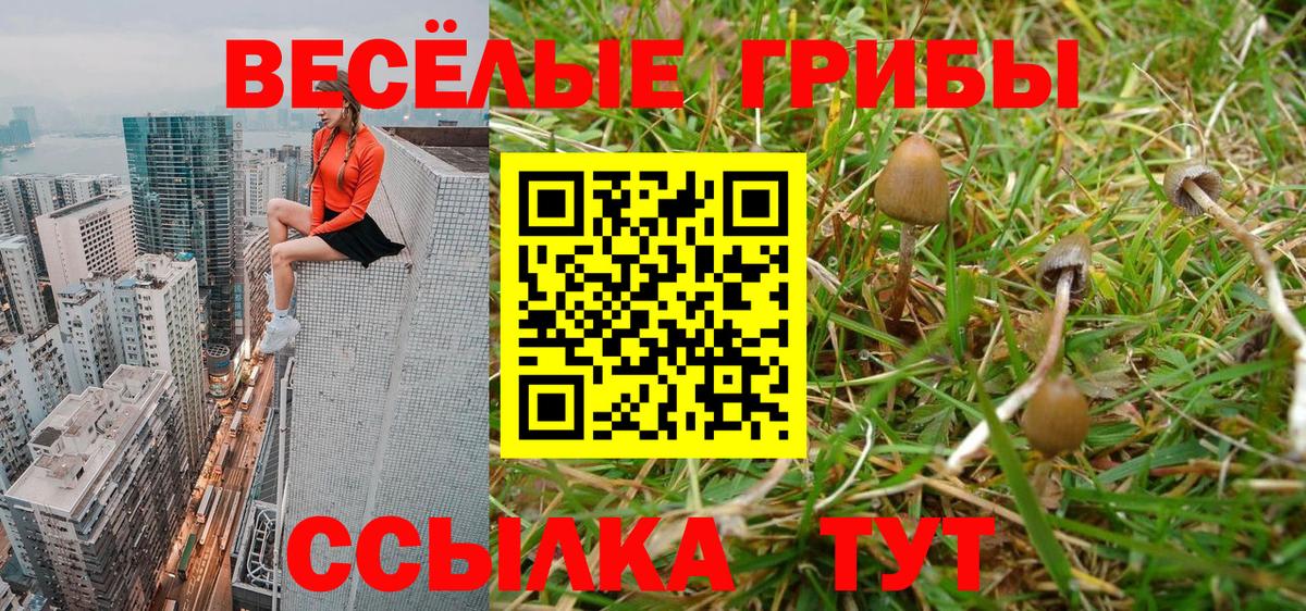 Гай  Псилоцибиновые грибы мухоморы  Вход с VPN  Псилоцибиновые грибы мухоморы 